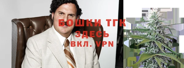 трава Осинники
