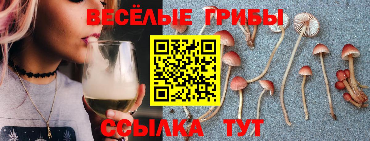 Ирбит  Псилоцибиновые грибы Cubensis  Вход с VPN 